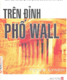 Ebook Trên đỉnh phố wall - Peter Lynch 2