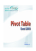 Ebook Pivot Table Excel 2003