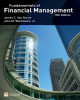 Ebook Fundamentals of Financial management (Thirteenth edition): Part 2