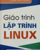 Giáo trình Lập trình Linux: Phần 1 - Lương Ngọc Quang