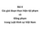 Bài giảng Luật Hình sự Việt Nam - Bài 4: Các giai đoạn thực hiện tội phạm và đồng phạm trong Luật Hình sự Việt Nam