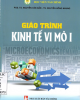 Giáo trình Kinh tế vi mô 1 - PGS. TS. Nguyễn Văn Dần