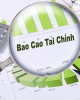 Tài liệu hướng dẫn ôn tập môn học Kiểm toán BCTC